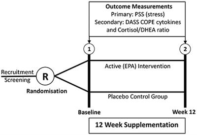 Frontiers Chronic Psychological Stress Was Not Ameliorated by